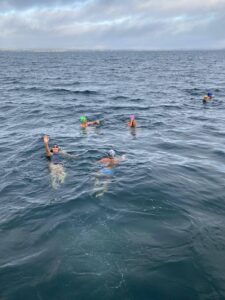 A Jetty Swim 300Km From Busso 3