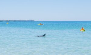 2026 Event Photos 101